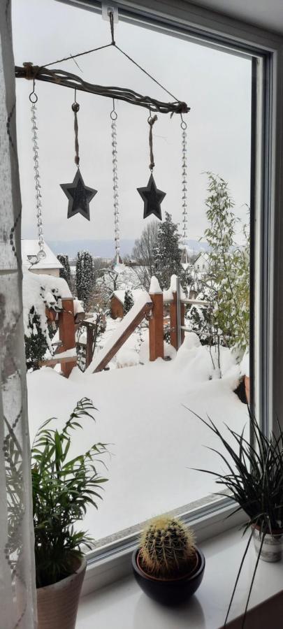 Appartment Fasanenhof Klinikum Und Uni Nah Mit Netflix كاسيل المظهر الخارجي الصورة